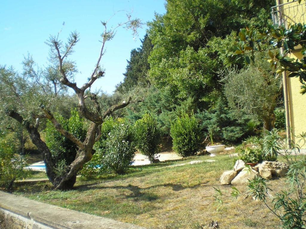 Villa Olcimia Capena Bagian luar foto