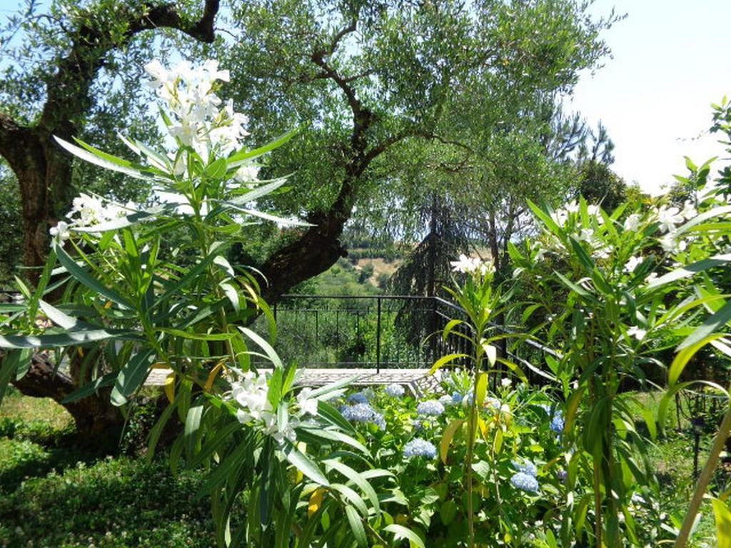 Villa Olcimia Capena Ruang foto
